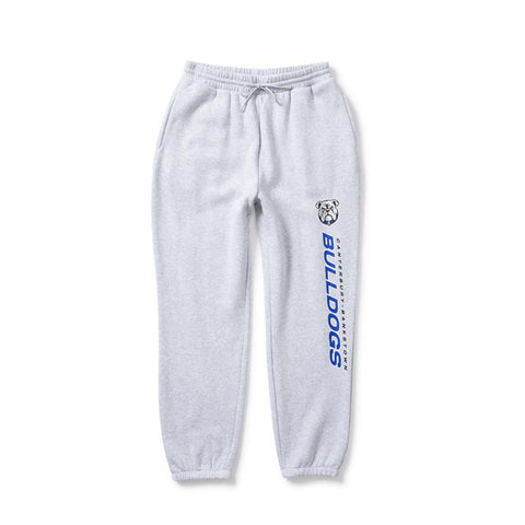 Canterbury Bulldogs 2026 Track Pant Adult Grey