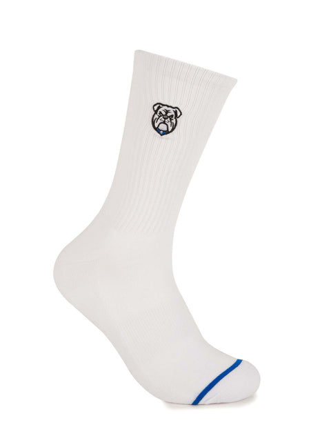 Canterbury Bulldogs Sneaker Sock 2 Pack Giftbox