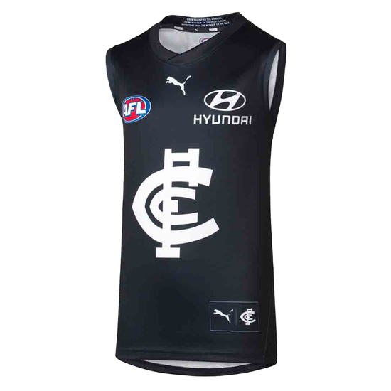 Load image into Gallery viewer, Carlton Blues 2024 Home Guernsey Adult
