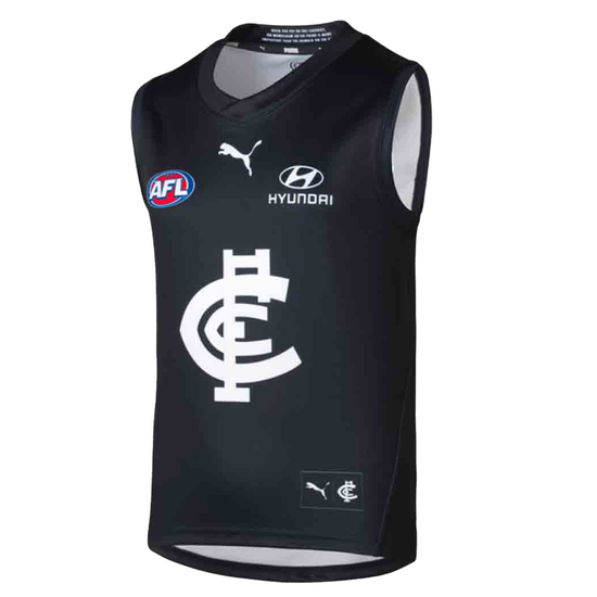 Load image into Gallery viewer, Carlton Blues 2024 Home Guernsey Infant
