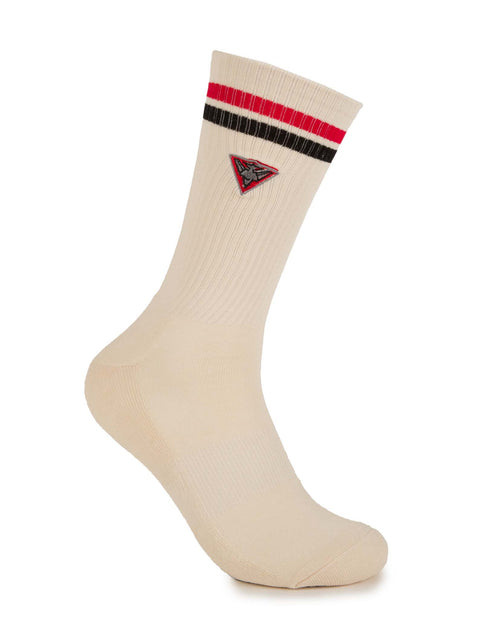 Essendon Bombers Sneaker Sock 2 Pack Giftbox