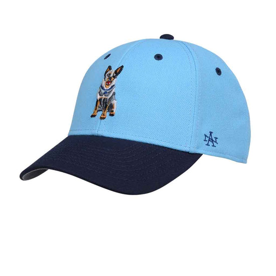 Load image into Gallery viewer, NSW Blues Bruce Healer Two Tone Stadium Cap
