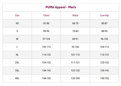 A size chart table for Puma Apparel Men's clothing, showing size categories XS through 4XL with corresponding chest, waist, and low hip measurements.