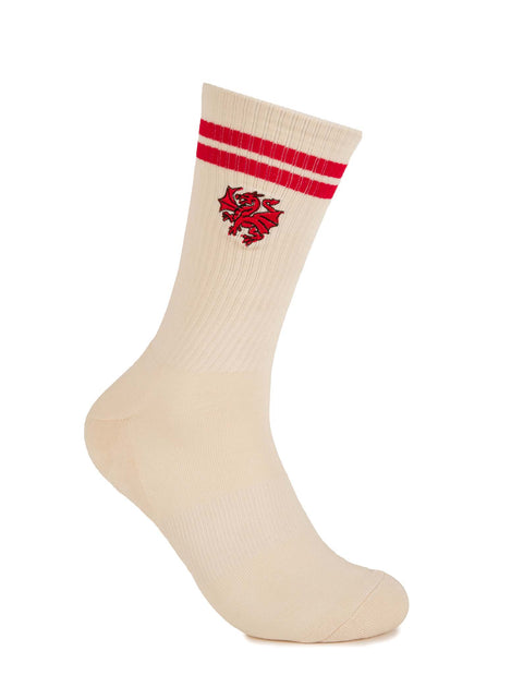 St George Dragons Sneaker Sock 2 Pack Giftbox