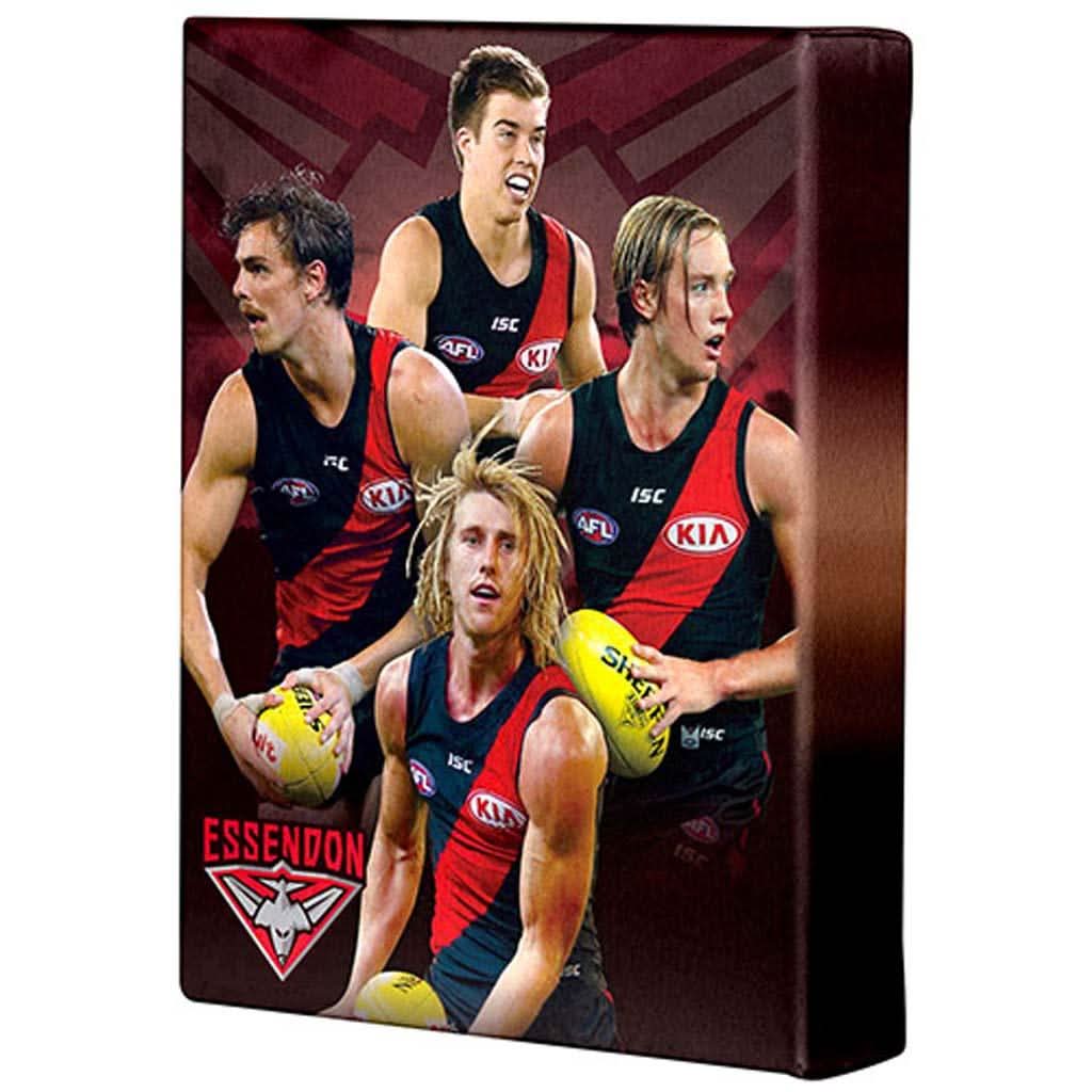 Essendon Bombers Players Canvas - Jerseys Megastore