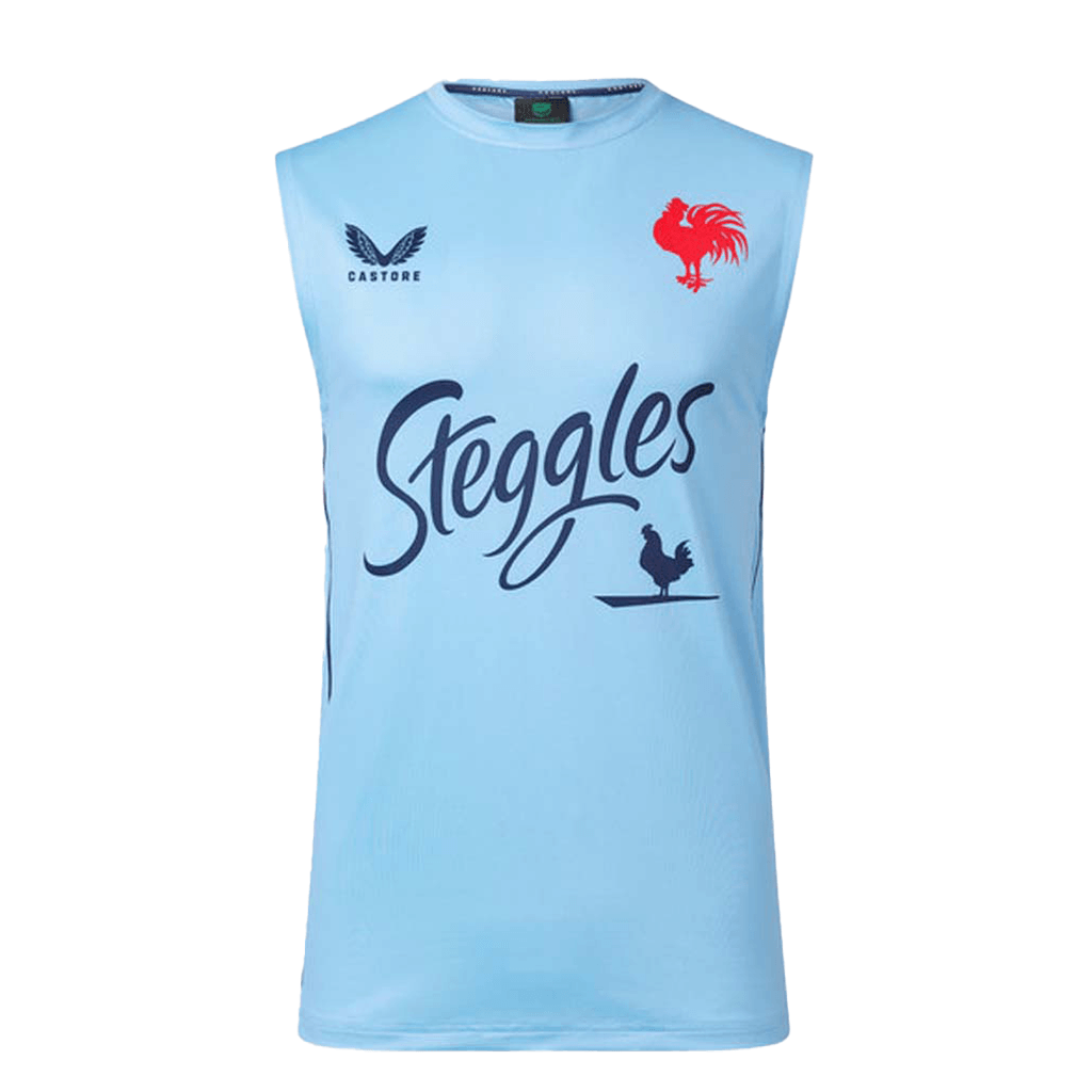 Load image into Gallery viewer, Sydney Roosters 2023 Training Singlet - Jerseys Megastore
